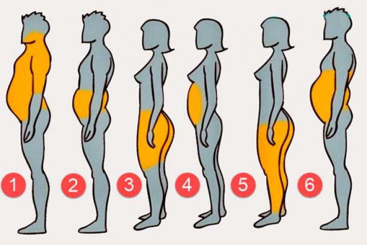¿Cómo eliminar la grasa localizada?
